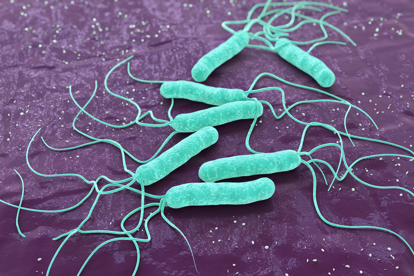 Što je Helicobacter pylori infekcija? | Centar za ekspertnu medicinu - CEM